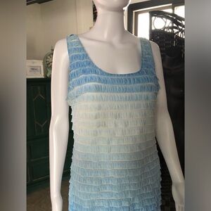Women’s Bianca Nygard Petite Sleeveless Dress/Tunic
Size 10P